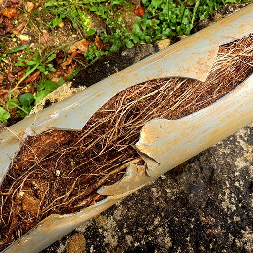Same Day Drain Sewer & Rooter Pros Across Moultonborough
